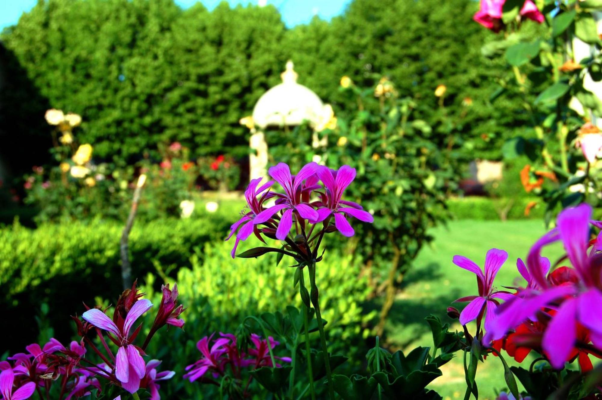 Hotel Villa San Donino Città di Castello Exteriér fotografie