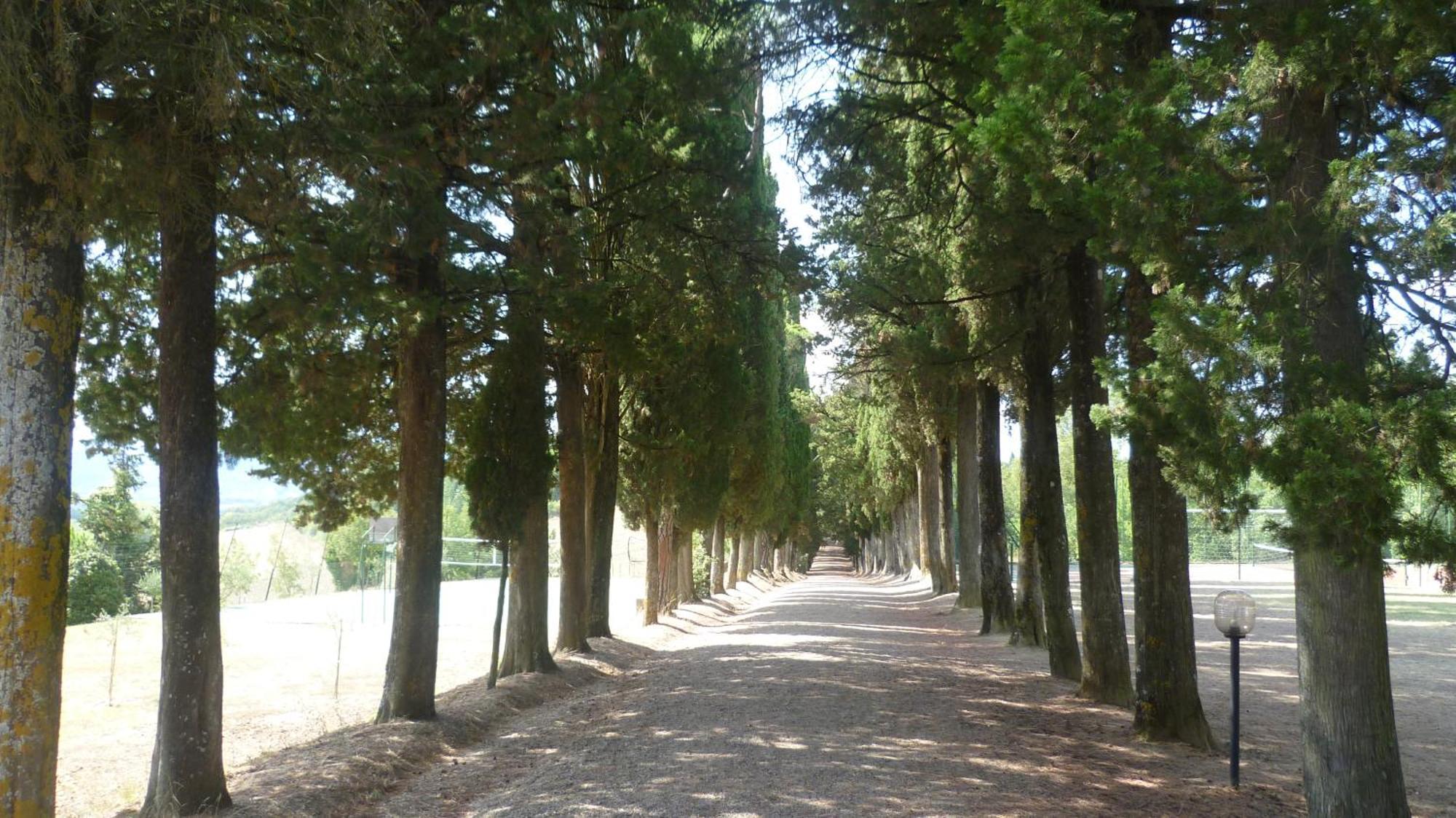 Hotel Villa San Donino Città di Castello Exteriér fotografie